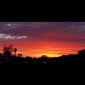 Meet your Posher, Elena